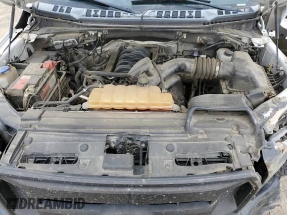 2017 Ford F-150 XL z VIN 1FTFW1EF5HKE25869, wystawiony jako Copart lot #70354165 z przebiegiem 175 131 mil mil oraz Czysty tytuł • Clean title. Historia ofert i sprzedaży dostępna na DreamBid. Obrazek 11.