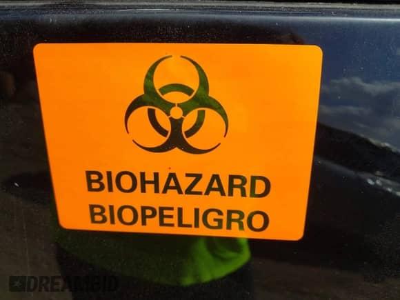 2023 Ford F-150 XL z VIN 1FTEW1EP2PFB19742, wystawiony jako IAAI lot #43218084 z przebiegiem Nie podano mil oraz . Historia ofert i sprzedaży dostępna na DreamBid. Obrazek 7.