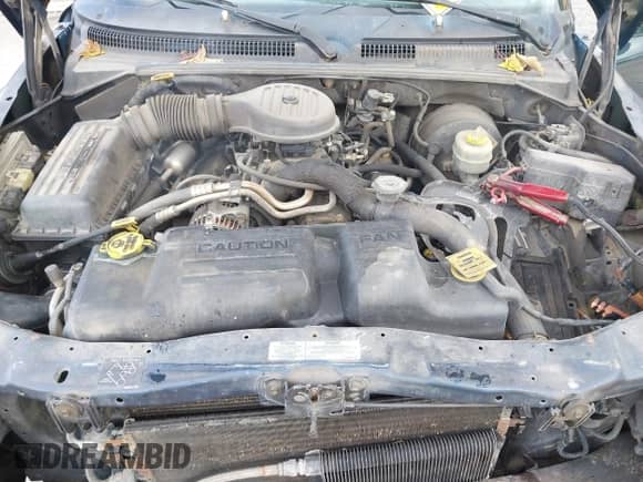 2000 Dodge Durango with VIN 1B4HS28Z9YF146768, listed as a IAAI auction lot 42782217 with 258,086 mi miles and . Bid and sale history available at DreamBid. Image 10.