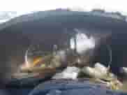 2009 Chevrolet Colorado 1LT с VIN 1GCCS139198119486, выставлен на аукционе IAAI как лот 41309183 с пробегом Не указан миль и . История ставок и продаж доступна на DreamBid. Изображение 7.