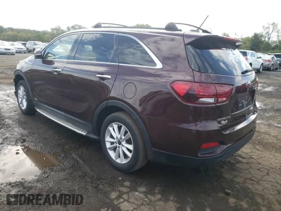 2019 Kia Sorento LX with VIN 5XYPGDA54KG499104, listed as a Copart auction lot 81116115 with 74,811 mi miles and Salvage title. Bid and sale history available at DreamBid. Image 2.