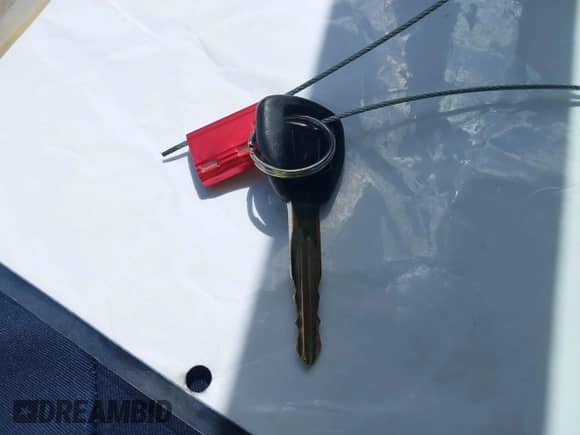 2000 Honda Accord LX с VIN JHMCG6658YC000903, выставлен на аукционе IAAI как лот 42808932 с пробегом 208 541 миль миль и . История ставок и продаж доступна на DreamBid. Изображение 11.