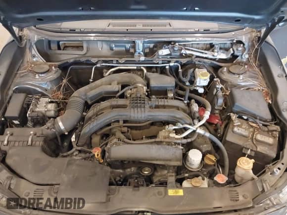 2019 Subaru Impreza Special Sports with VIN 4S3GTAM65K3731471, listed as a IAAI auction lot 42225933 with 80,900 mi miles and . Bid and sale history available at DreamBid. Image 10.