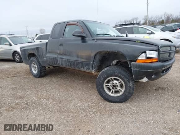 1999 Dodge Dakota SLT с VIN 1B7GG22Y6XS231301, выставлен на аукционе IAAI как лот 41427598 с пробегом Не указан миль и . История ставок и продаж доступна на DreamBid. Изображение 1.