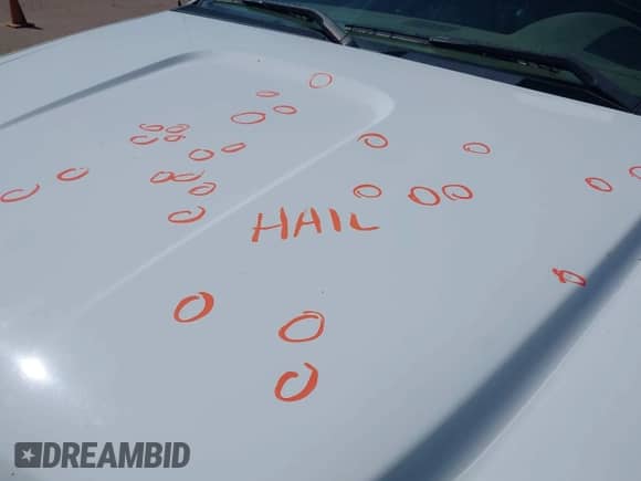 2012 GMC Sierra 1500 Denali z VIN 3GTP2XE27CG294122, wystawiony jako IAAI lot #42655182 z przebiegiem 194 073 mil mil oraz . Historia ofert i sprzedaży dostępna na DreamBid. Obrazek 17.