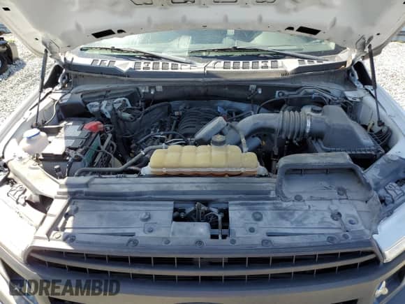 2019 Ford F-150 XL with VIN 1FTFW1E58KKF20215, listed as a Copart auction lot 52313465 with 59,255 mi miles and Salvage title. Bid and sale history available at DreamBid. Image 12.