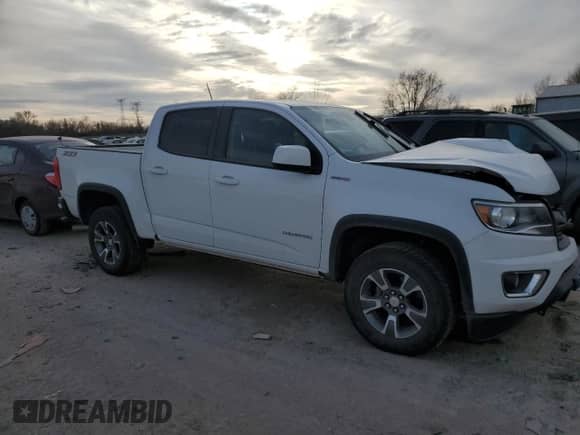 2019 Chevrolet Colorado 4WD Z71 with VIN 1GCPTDE12K1231378, listed as a Copart auction lot 42164285 with Not provided miles and Salvage title. Bid and sale history available at DreamBid. Image 4.