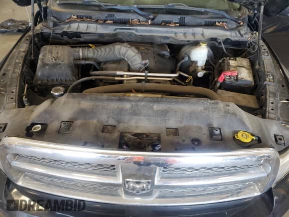 2009 Dodge 1500 Sport z VIN 1D3HV13T49S705585, wystawiony jako Copart lot #81071155 z przebiegiem 230 045 mil mil oraz Czysty tytuł • Clean title. Historia ofert i sprzedaży dostępna na DreamBid. Obrazek 11.