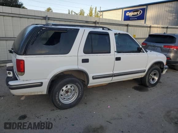 1999 Chevrolet Blazer LS z VIN 1GNCS13W1X2162495, wystawiony jako Copart lot #80019274 z przebiegiem Nie podano mil oraz Szkoda całkowita • Salvage title. Historia ofert i sprzedaży dostępna na DreamBid. Obrazek 3.