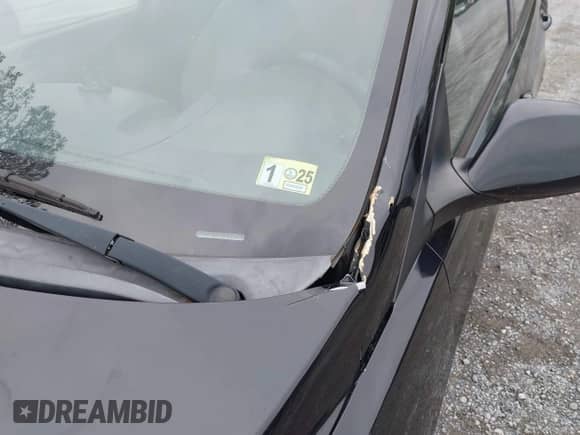 2016 Hyundai Accent SE с VIN KMHCT4AEXGU107240, выставлен на аукционе IAAI как лот 43330024 с пробегом 219 529 миль миль и . История ставок и продаж доступна на DreamBid. Изображение 14.