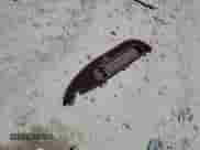 1996 Chevrolet Suburban with VIN 3GNEC16R5TG112647, listed as a Copart auction lot 53081735 with 236,036 mi miles and Salvage title. Bid and sale history available at DreamBid. Image 13.