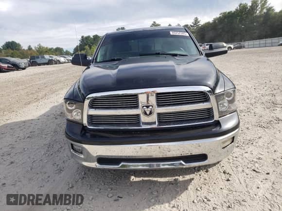 2009 Dodge 1500 Sport с VIN 1D3HV13T09S718155, выставлен на аукционе Copart как лот 80252385 с пробегом 224 803 миль миль и Чистый • Clean title. История ставок и продаж доступна на DreamBid. Изображение 5.