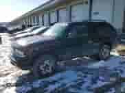 1998 Chevrolet Blazer LS with VIN 1GNCT18W7WK214281, listed as a Copart auction lot 45454165 with 151,744 mi miles and Salvage title. Bid and sale history available at DreamBid. Image 1.