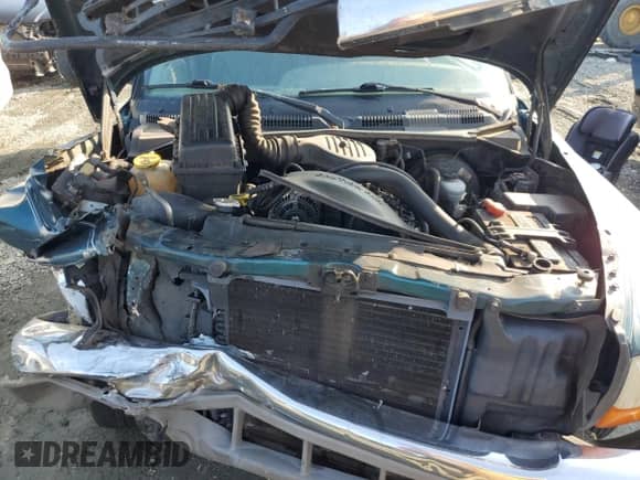 1998 Dodge Dakota SLT z VIN 1B7GL26X1WS723200, wystawiony jako Copart lot #59961325 z przebiegiem 279 317 mil mil oraz Szkoda całkowita • Salvage title. Historia ofert i sprzedaży dostępna na DreamBid. Obrazek 11.