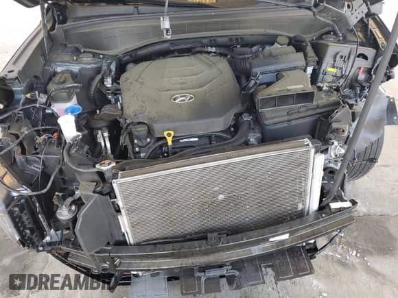 2023 Hyundai Palisade Calligraphy with VIN KM8R7DGE3PU580225, listed as a Copart auction lot 66446045 with Not provided miles and Non repairable. Bid and sale history available at DreamBid. Image 12.