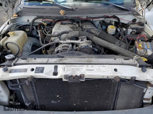 1999 Dodge 3500 с VIN 1B7MC33W7XJ610508, выставлен на аукционе Copart как лот 75534914 с пробегом Не указан миль и Чистый • Clean title. История ставок и продаж доступна на DreamBid. Изображение 11.