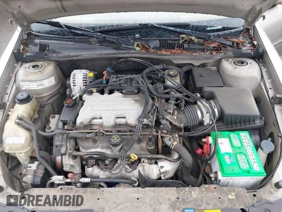 1998 Chevrolet Malibu LS с VIN 1G1NE52M1W6249023, выставлен на аукционе IAAI как лот 41779319 с пробегом 71 307 миль миль и . История ставок и продаж доступна на DreamBid. Изображение 10.