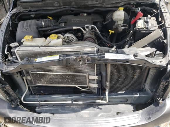 2008 Dodge 1500 ST z VIN 1D7HU18218J182726, wystawiony jako Copart lot #57235565 z przebiegiem 294 513 mil mil oraz Szkoda całkowita • Salvage title. Historia ofert i sprzedaży dostępna na DreamBid. Obrazek 11.