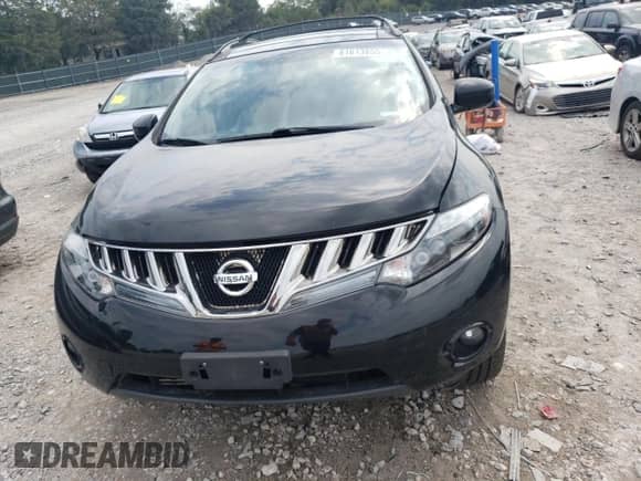 2010 Nissan Murano SL with VIN JN8AZ1MW1AW135635, listed as a Copart auction lot 81613855 with 206,707 mi miles and Salvage title. Bid and sale history available at DreamBid. Image 5.