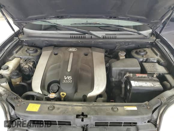 2006 Hyundai Santa Fe GLS z VIN KM8SC13E36U067833, wystawiony jako Copart lot #58409105 z przebiegiem 171 550 mil mil oraz Szkoda całkowita • Salvage title. Historia ofert i sprzedaży dostępna na DreamBid. Obrazek 12.