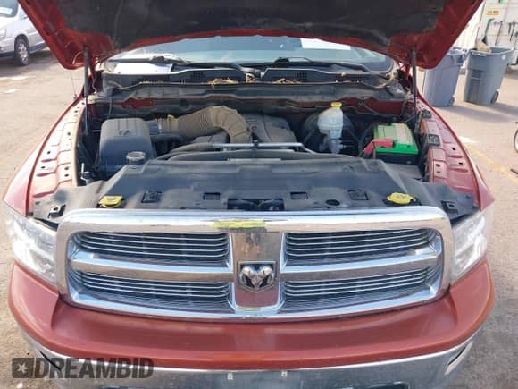 2009 Dodge 1500 SLT with VIN 1D3HV13T29S739945, listed as a IAAI auction lot 43282052 with 156,773 mi miles and . Bid and sale history available at DreamBid. Image 10.
