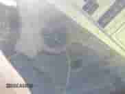 2010 Chevrolet Malibu 1LT с VIN 1G1ZC5EB0AF165494, выставлен на аукционе IAAI как лот 43333056 с пробегом 69 770 миль миль и . История ставок и продаж доступна на DreamBid. Изображение 11.