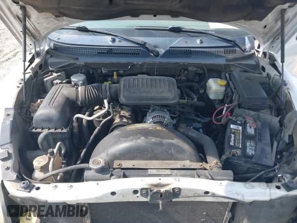 2005 Dodge Dakota SLT с VIN 1D7HE48KX5S244516, выставлен на аукционе IAAI как лот 42581297 с пробегом 247 599 миль миль и . История ставок и продаж доступна на DreamBid. Изображение 10.