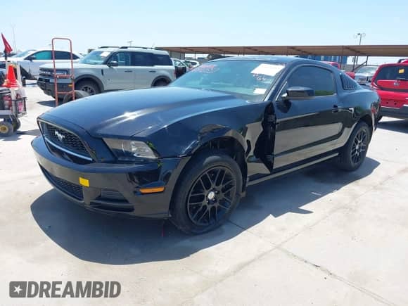 2014 Ford Mustang Premium с VIN 1ZVBP8AM9E5295367, выставлен на аукционе IAAI как лот 42876557 с пробегом 108 180 миль миль и . История ставок и продаж доступна на DreamBid. Изображение 2.