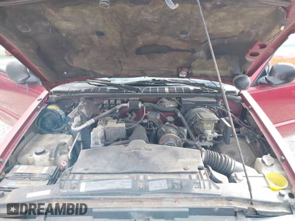 1995 Chevrolet S-10 LS с VIN 1GCCS1943S8209790, выставлен на аукционе IAAI как лот 41860636 с пробегом 158 707 миль миль и . История ставок и продаж доступна на DreamBid. Изображение 10.