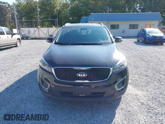 2017 Kia Sorento LX with VIN 5XYPGDA51HG196970, listed as a IAAI auction lot 43377817 with 123,482 mi miles and . Bid and sale history available at DreamBid. Image 12.