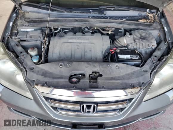 2007 Honda Odyssey EX-L с VIN 5FNRL38787B143999, выставлен на аукционе Copart как лот 81405655 с пробегом 191 244 миль миль и Чистый • Clean title. История ставок и продаж доступна на DreamBid. Изображение 12.