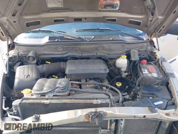 2002 Dodge 1500 z VIN 1D7HA18N92S530650, wystawiony jako IAAI lot #43337027 z przebiegiem 132 705 mil mil oraz . Historia ofert i sprzedaży dostępna na DreamBid. Obrazek 10.