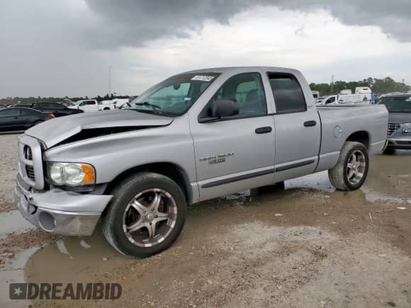 2002 Dodge 1500 z VIN 1D7HA18N32S723005, wystawiony jako Copart lot #81712045 z przebiegiem 317 157 mil mil oraz Szkoda całkowita • Salvage title. Historia ofert i sprzedaży dostępna na DreamBid. Obrazek 1.
