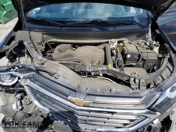 2019 Chevrolet Equinox LS z VIN 2GNAXSEV3K6231671, wystawiony jako Copart lot #71834175 z przebiegiem 133 301 mil mil oraz Szkoda całkowita • Salvage title. Historia ofert i sprzedaży dostępna na DreamBid. Obrazek 12.