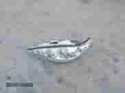 2005 Toyota Camry STD с VIN JTDBE32K453001586, выставлен на аукционе IAAI как лот 42838279 с пробегом 163 824 миль миль и . История ставок и продаж доступна на DreamBid. Изображение 12.