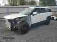 2025 Hyundai Santa Fe Calligraphy с VIN 5NMP54G17SH030623, выставлен на аукционе Copart как лот 50802195 с пробегом 3 076 миль миль и Списание • Salvage title. История ставок и продаж доступна на DreamBid. Изображение 1.