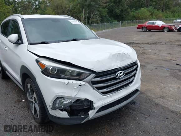 2018 Hyundai Tucson Sport with VIN KM8J33AL9JU801778, listed as a IAAI auction lot 43288201 with 147,031 mi miles and . Bid and sale history available at DreamBid. Image 6.