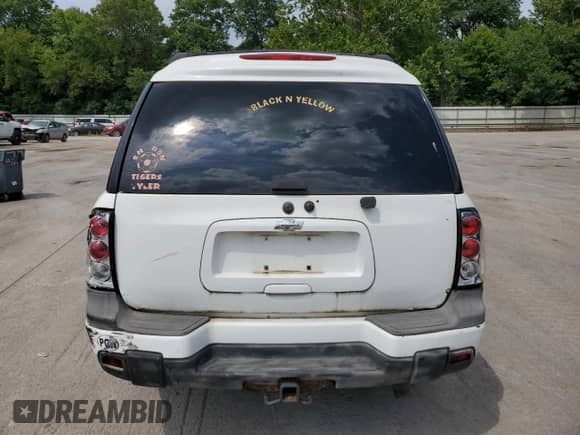 2005 Chevrolet TrailBlazer LT z VIN 1GNET16S356116493, wystawiony jako Copart lot #67930275 z przebiegiem 166 132 mil mil oraz Szkoda całkowita • Salvage title. Historia ofert i sprzedaży dostępna na DreamBid. Obrazek 6.