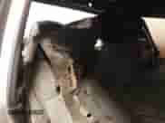 2005 Chevrolet Colorado Z85 с VIN 1GCCS148558110774, выставлен на аукционе IAAI как лот 41363070 с пробегом Не указан миль и . История ставок и продаж доступна на DreamBid. Изображение 8.