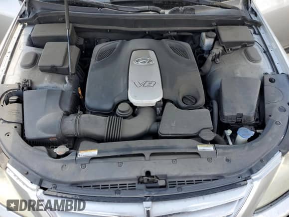 2010 Hyundai Genesis with VIN KMHGC4DF6AU105885, listed as a Copart auction lot 81600135 with 90,109 mi miles and Salvage title. Bid and sale history available at DreamBid. Image 11.