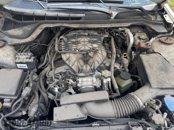 2013 Chevrolet Caprice with VIN 6G1MK5R32DL829691, listed as a Copart auction lot 66304105 with 92,576 mi miles and Clean title. Bid and sale history available at DreamBid. Image 7.
