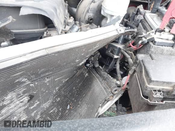 2018 Ram 1500 Big Horn z VIN 1C6RR7GG7JS319692, wystawiony jako IAAI lot #41486502 z przebiegiem 98 635 mil mil oraz . Historia ofert i sprzedaży dostępna na DreamBid. Obrazek 18.