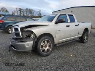 2010 Dodge 1500 SLT with VIN 1D7RV1GP4AS240472, listed as a Copart auction lot 79394904 with 174,803 mi miles and Salvage title. Bid and sale history available at DreamBid. Image 1.