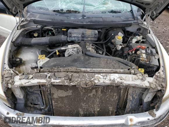 1999 Dodge 1500 with VIN 3B7HC12Y8XG189909, listed as a Copart auction lot 87682755 with Not provided miles and Salvage title. Bid and sale history available at DreamBid. Image 11.