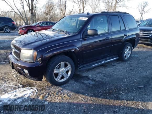 2009 Chevrolet TrailBlazer 1LT z VIN 1GNDT33S492118651, wystawiony jako Copart lot #85883584 z przebiegiem 101 346 mil mil oraz Szkoda całkowita • Salvage title. Historia ofert i sprzedaży dostępna na DreamBid. Obrazek 1.