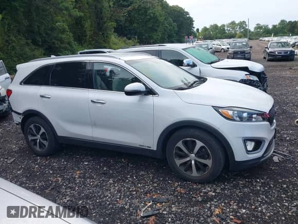 2018 Kia Sorento EX with VIN 5XYPHDA51JG406874, listed as a IAAI auction lot 43167591 with 65,278 mi miles and . Bid and sale history available at DreamBid. Image 13.