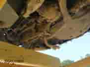 2020 Subaru WRX with VIN JF1VA1A61L9801439, listed as a IAAI auction lot 42367011 with 28,603 mi miles and . Bid and sale history available at DreamBid. Image 20.