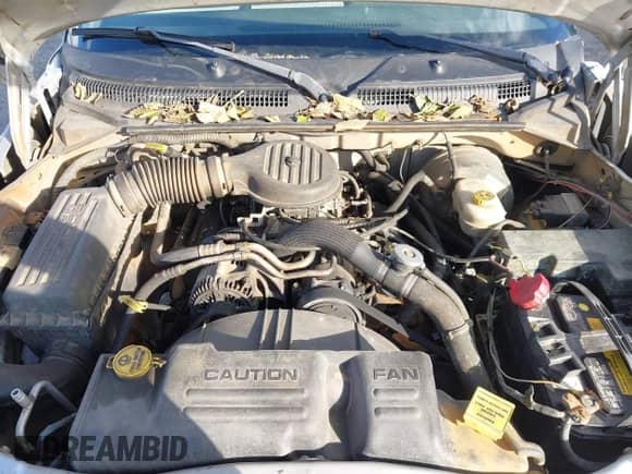 2002 Dodge Dakota z VIN 1B7GL12X42S708569, wystawiony jako IAAI lot #43535850 z przebiegiem 225 885 mil mil oraz . Historia ofert i sprzedaży dostępna na DreamBid. Obrazek 10.