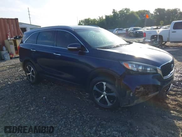 2016 Kia Sorento EX with VIN 5XYPH4A13GG122295, listed as a IAAI auction lot 42480803 with 96,807 mi miles and . Bid and sale history available at DreamBid. Image 1.