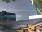 2015 Ford F-150 XLT with VIN 1FTEW1EF5FFC35412, listed as a IAAI auction lot 42054204 with 144,891 mi miles and . Bid and sale history available at DreamBid. Image 9.